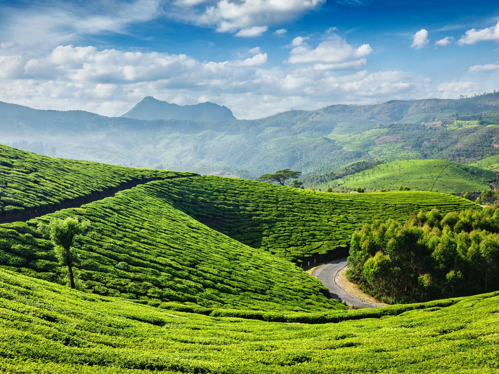South India - Explore Kerala